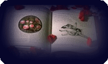 cdgraphy, biography, profile